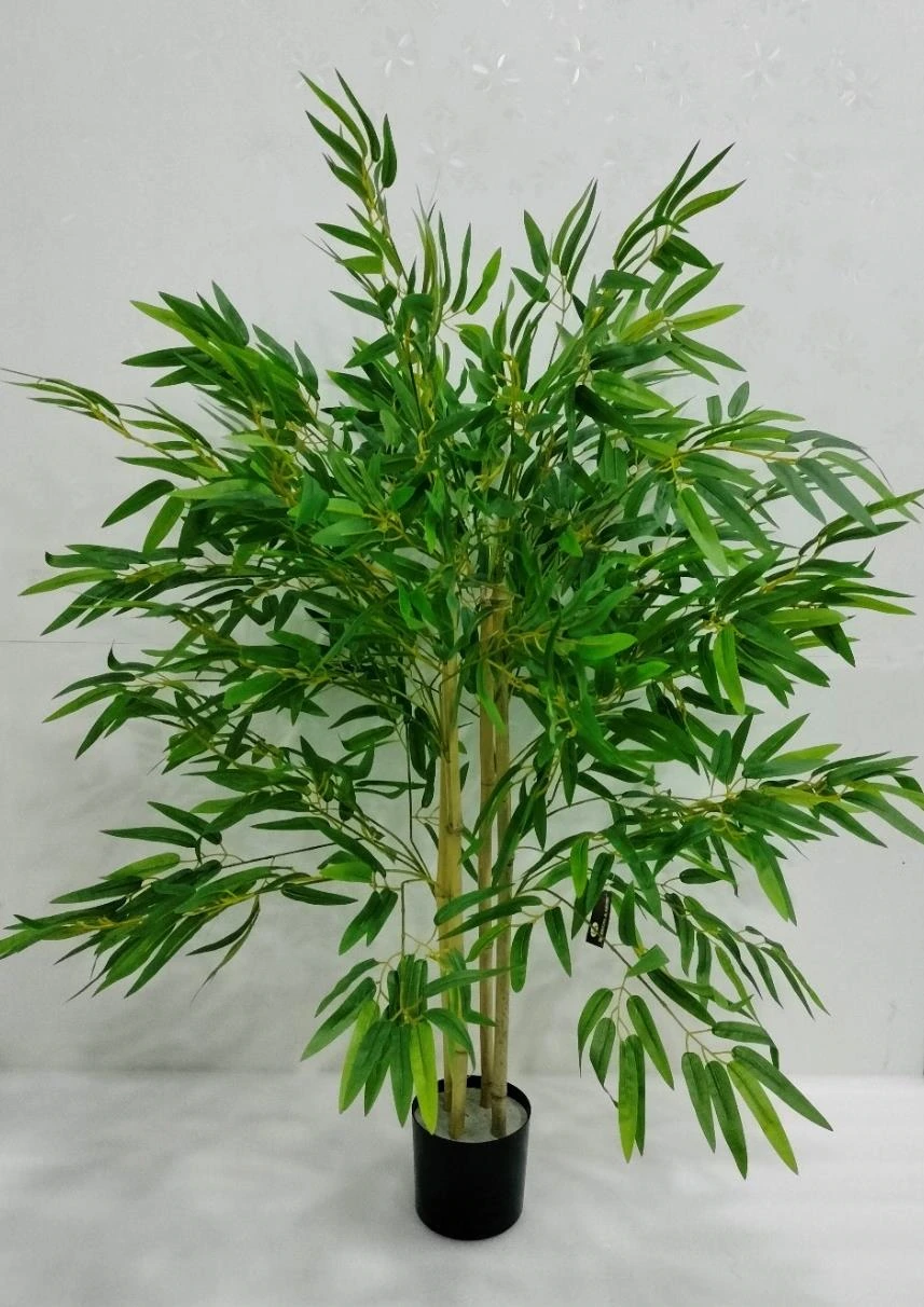 Natural Bamboo Plant 210cm 24 Branch